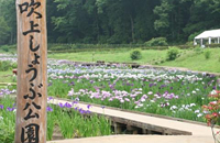 吹上しょうぶ公園