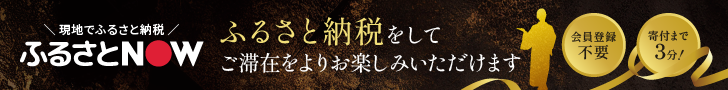 ふるさと納税サイト「ふるさとNOW」はこちら