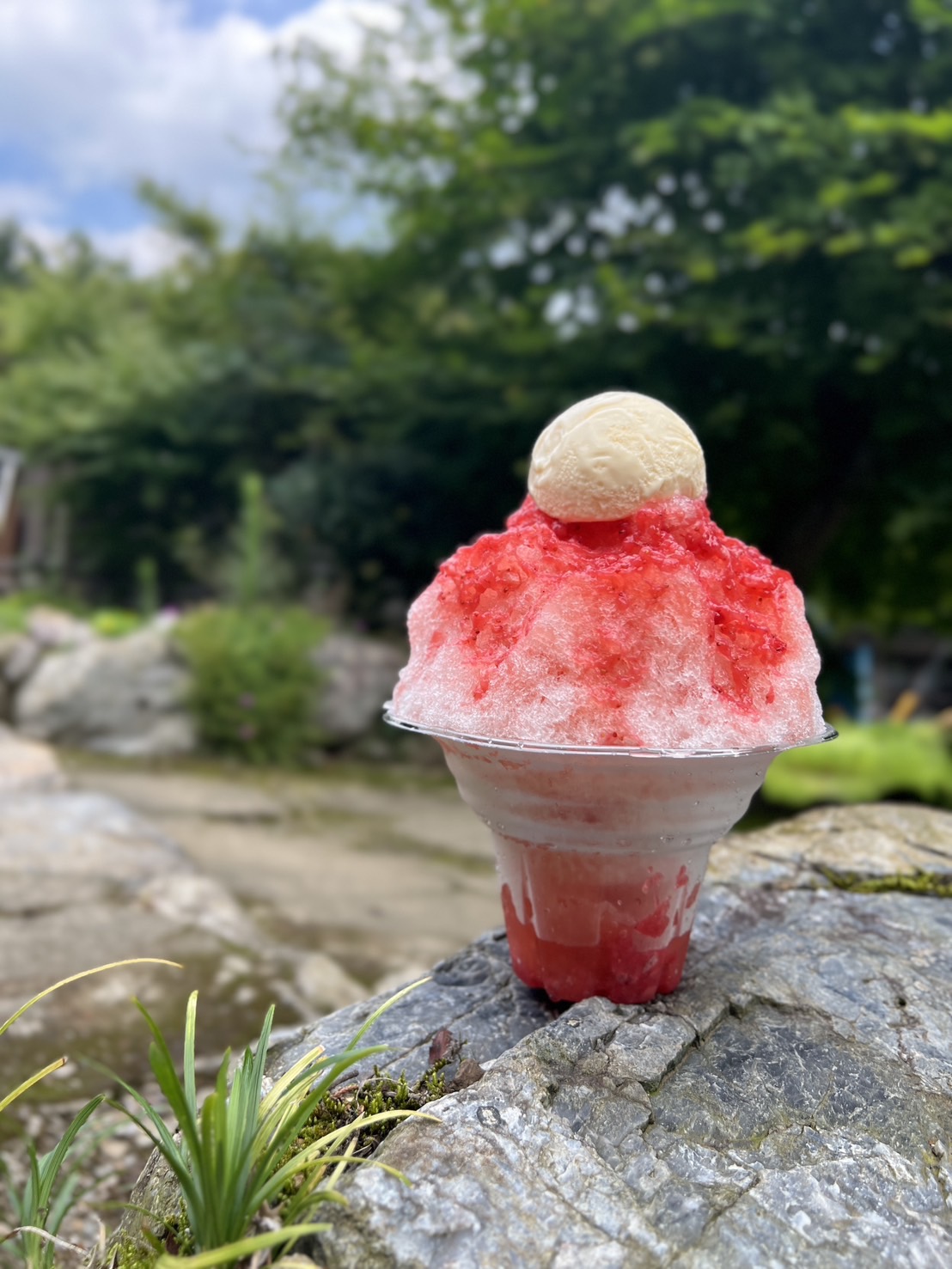 2026夏！！板前氷in大松閣