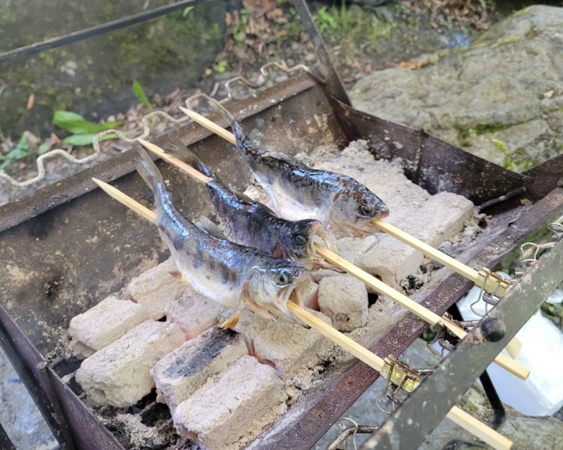 魚のつかみ取りにご参加ください！